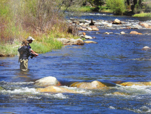 Private Fly Fishing Crested Butte