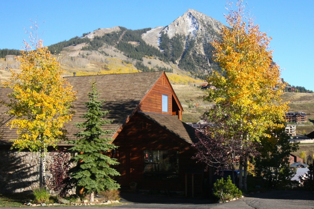 Crested Butte Real Estate Town home For Sale
