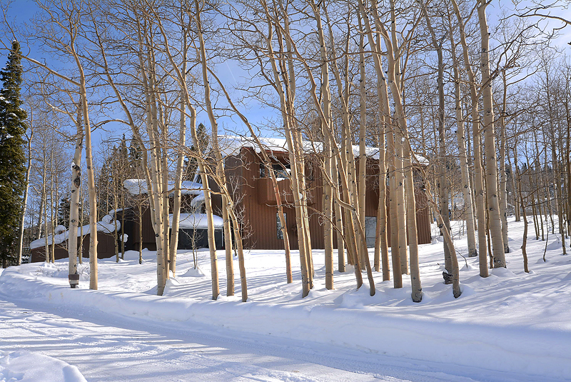 New Listing Ski Home 16 Red Lady Way Mt. Crested Butte