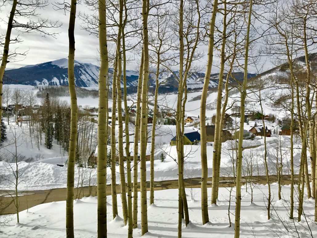 Crested Butte Home Owners Association Fees