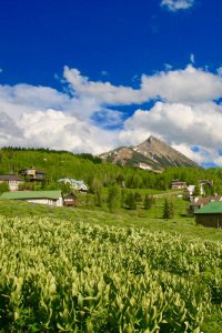What a Crested Butte home is worth?