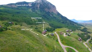 3 Forest Lane Mt Crested Butte Home For Sale