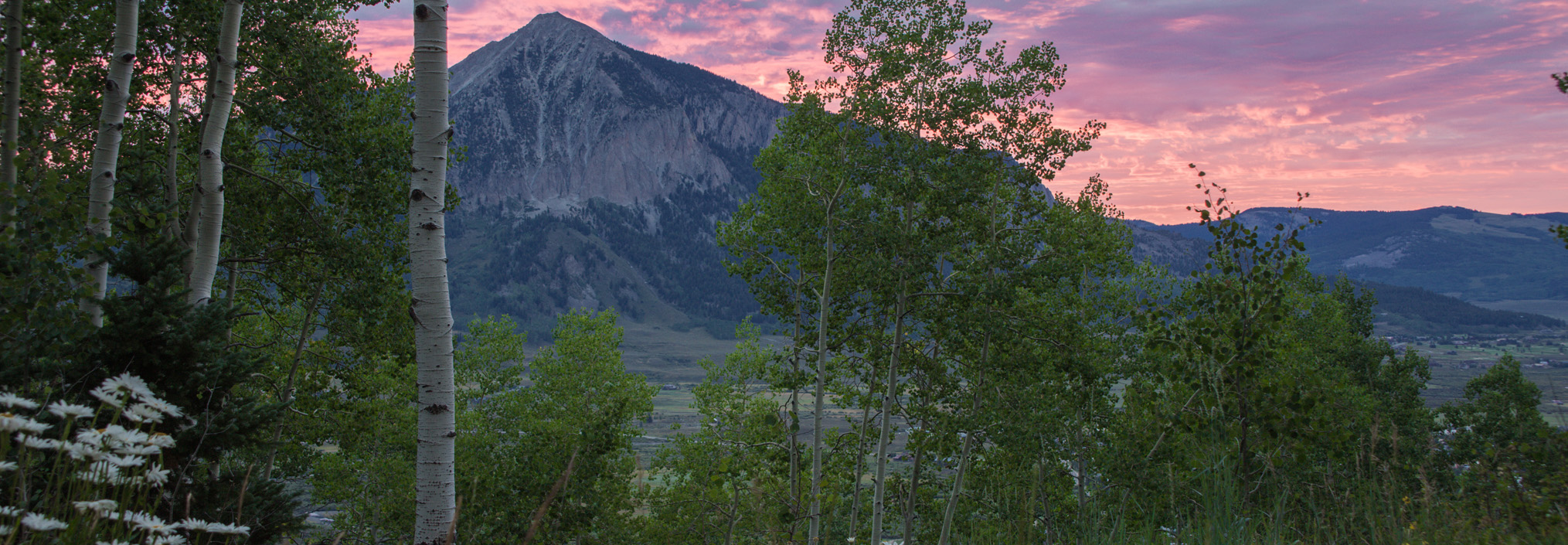 Top Crested Butte Real Estate Agent
