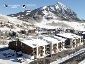 New Listing Three Seasons Condo Mt Crested Butte
