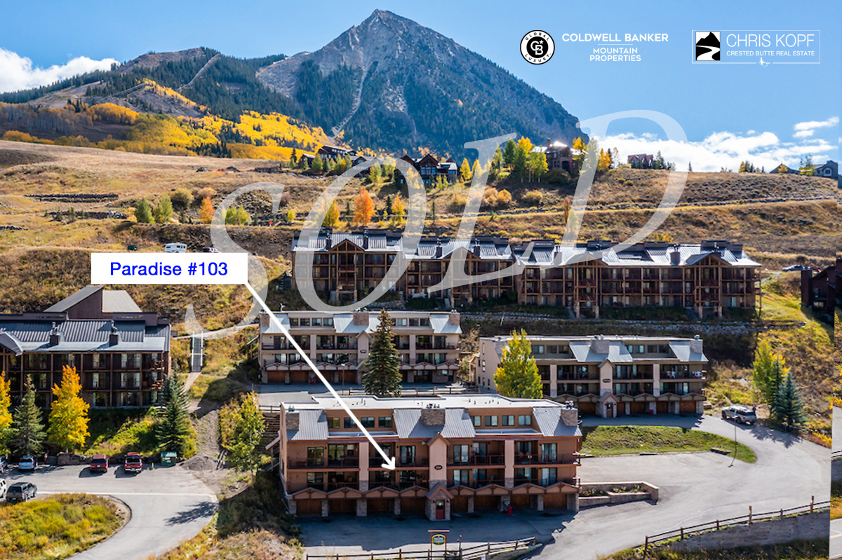 Sold Ski Condo Paradise #103