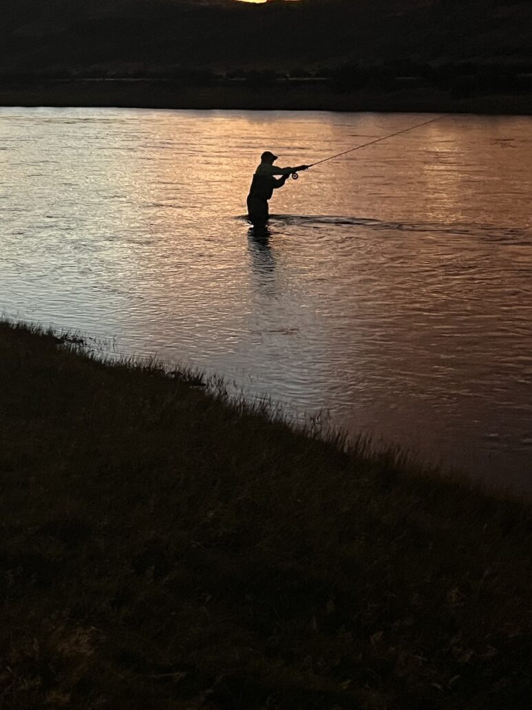Chasing Sea-Run Brown Trout in Patagonia