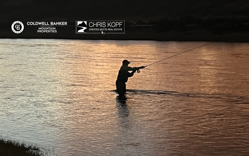 Chasing Sea-Run Brown Trout in Patagonia