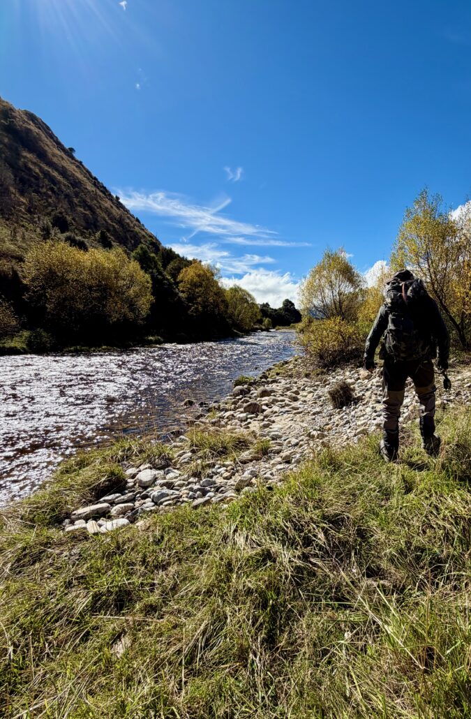 Stalking Brown Trout New Zealand